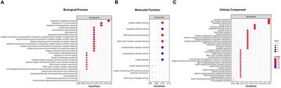 Gene expression analysis in recurrent benign paroxysmal positional vertigo: a preliminary study